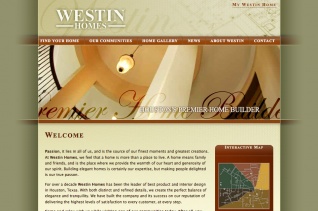 Company Website/Intranet-1